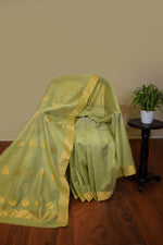 Pure handloom chanderi saree with golden zari weaving-light olive green