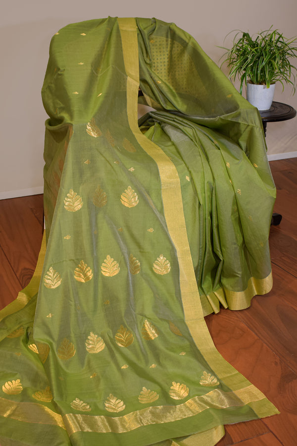 Pure handloom chanderi saree with golden zari weaving-olive green