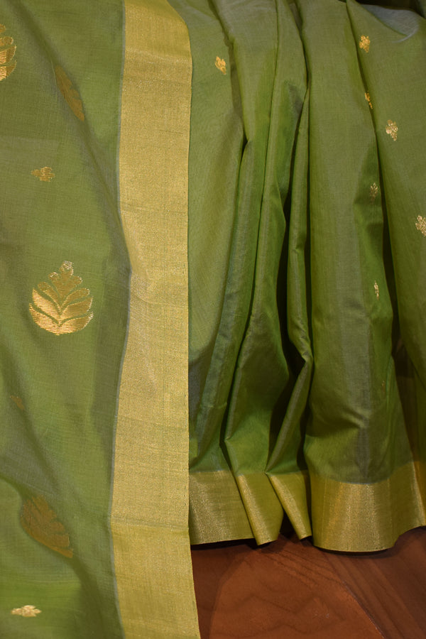 Pure handloom chanderi saree with golden zari weaving-olive green