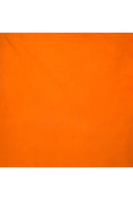 Chiffon shimmer saree with golden self print-Orange