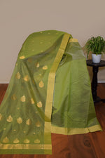 Pure handloom chanderi saree with golden zari weaving-olive green
