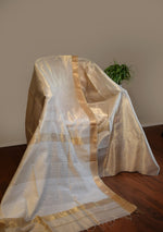 Ivory Gold Maheshwari Tissue Silk Saree