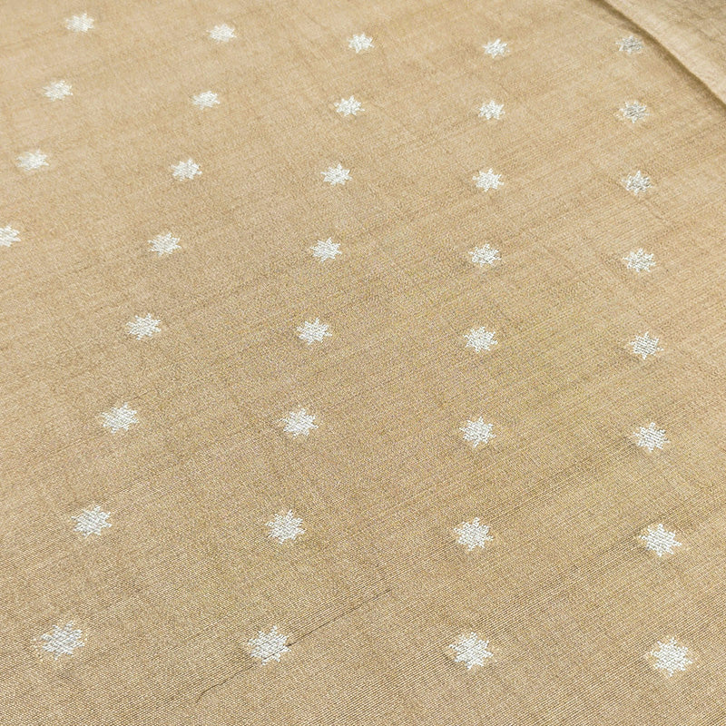 Honey Beige Banarasi Munga Silk Suit Set with Pastel Floral Zari Border