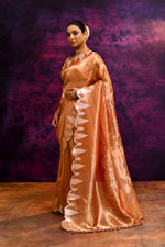 Pure Banarasi Tissue Silk Saree with Leaf Motifs – Rustic Orange