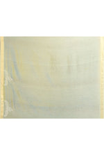 Pure Cotton Saree with Lucknowi Chikankari Embroidery – Mint Green