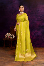 Pure Banarasi woven silk saree with zari weaving & hand embroidered blouse-Lime green