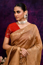 Pure Banarasi woven silk saree with zari & minakari leaf motifs & hand embroidered blouse-Golden