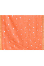 Pure tussar linen handloom saree with floral embroidered blouse