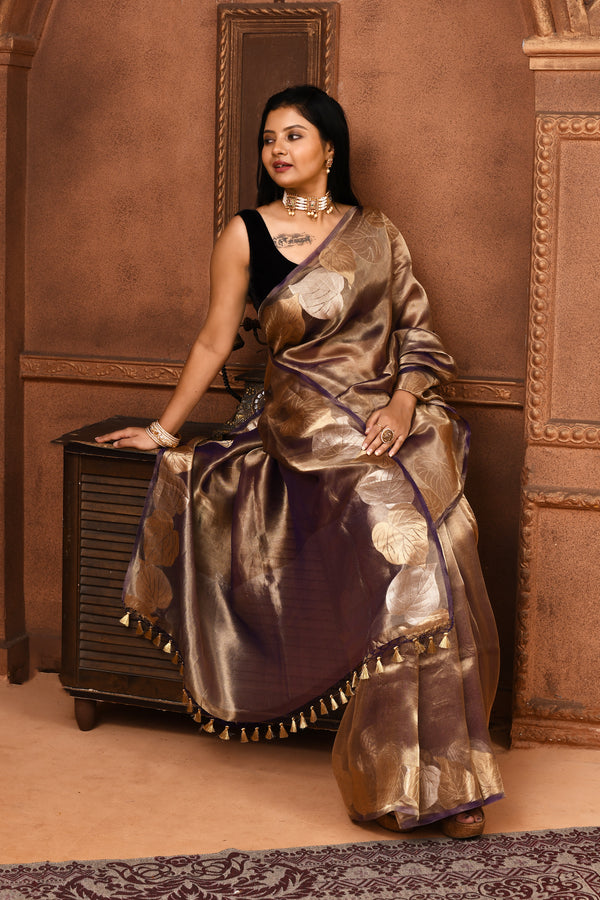 Banarasi tissue silk saree with leaf pattern woven border