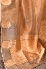 Banarasi tissue silk saree with floral pattern kadwa weaving-off white