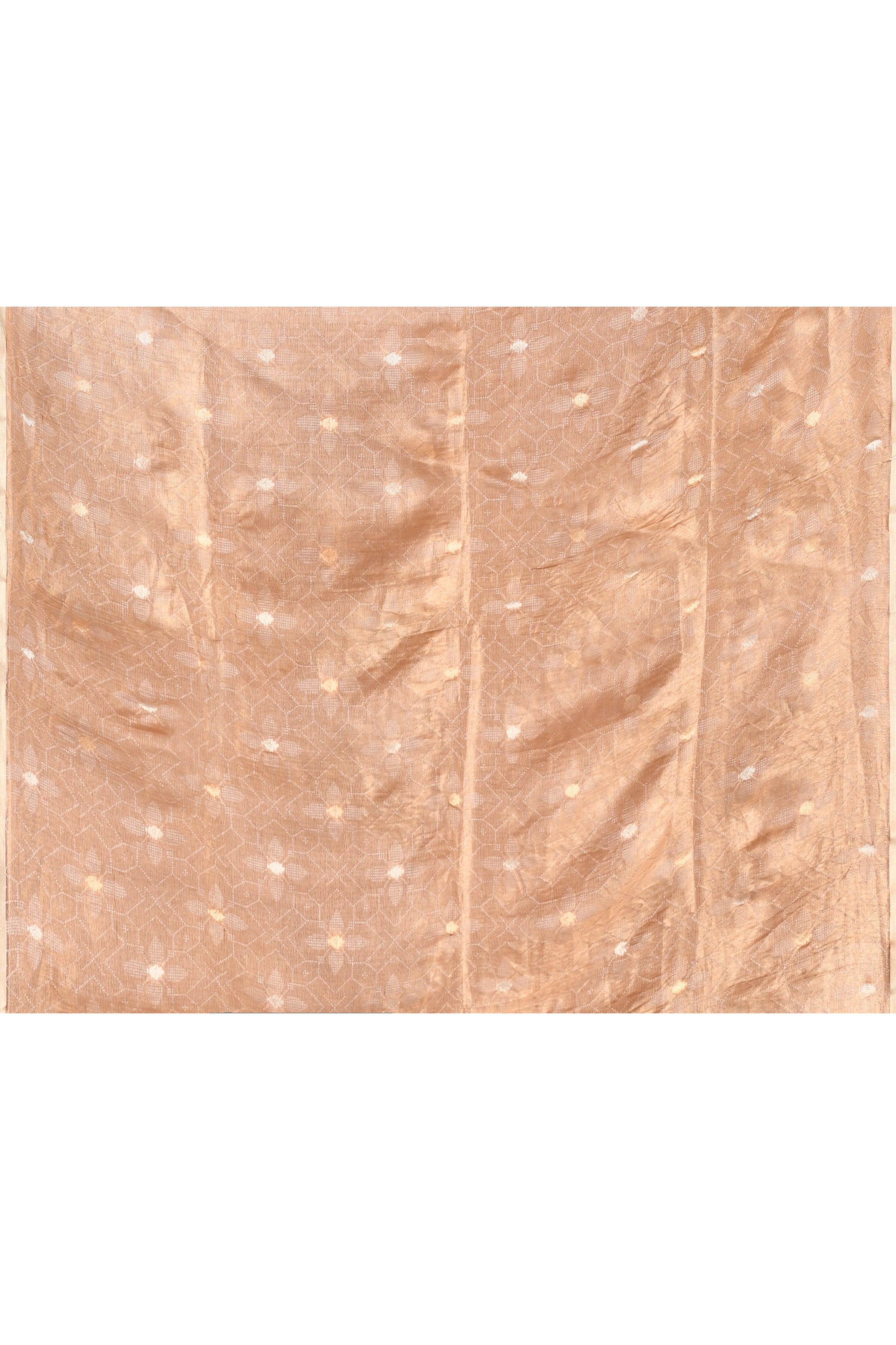 Banarasi tissue silk saree with kadwa weaving-Beige