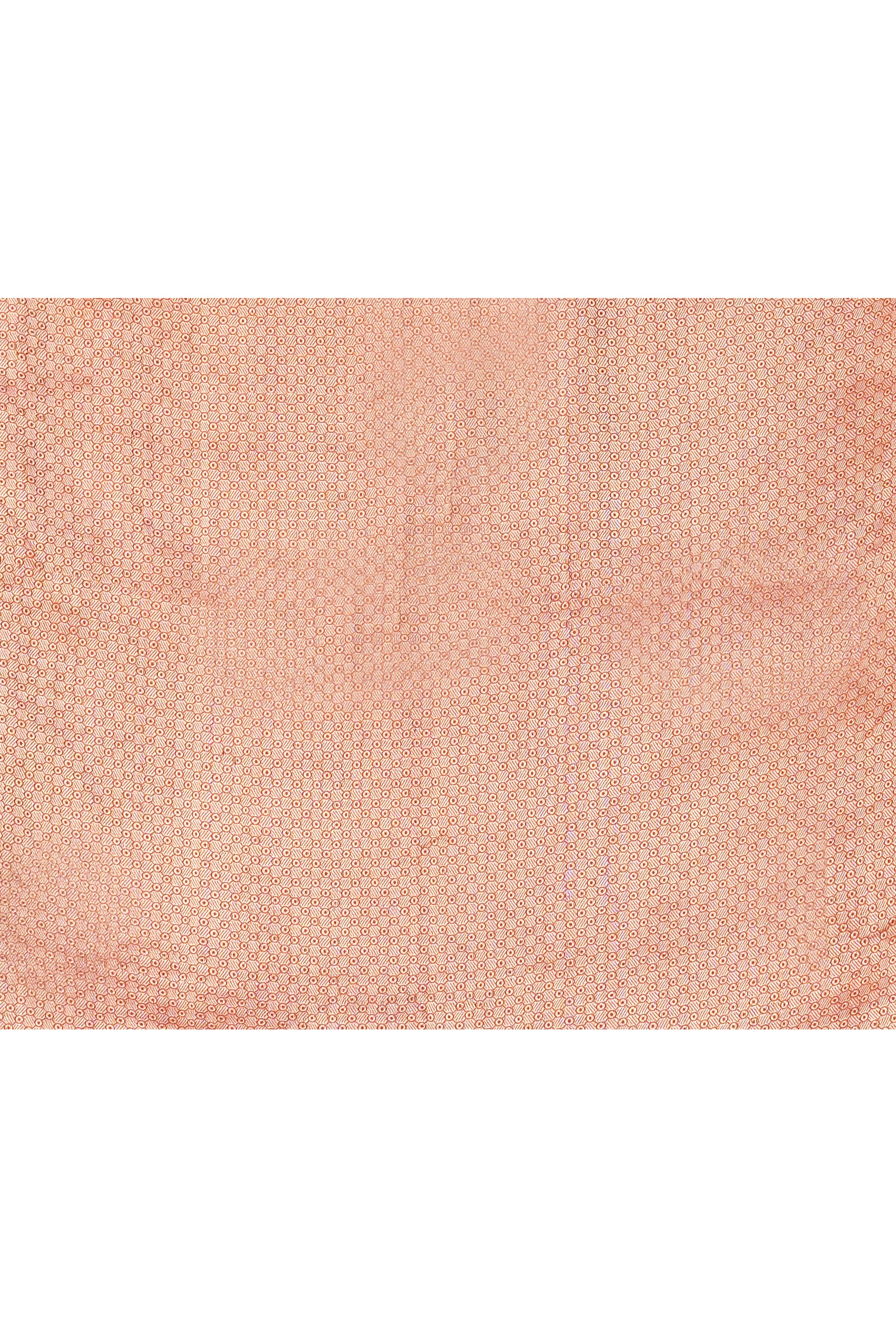 Pure handloom tussar silk Banarasi saree with kadwa weaving-Rust