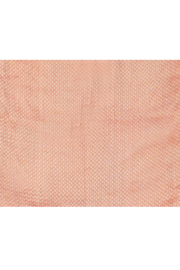 Pure handloom tussar silk Banarasi saree with kadwa weaving-Rust