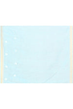 Pure handloom linen tussar saree with embroidery-sky Blue
